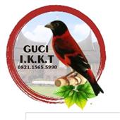 Cuộ