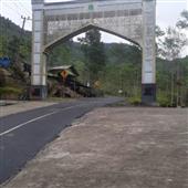 Anh
