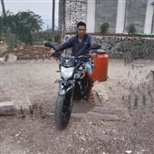 Gấu