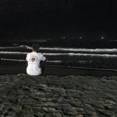IPL