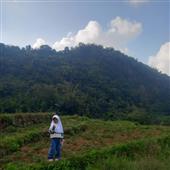Trự