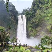 Dự 
