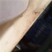 Sha
