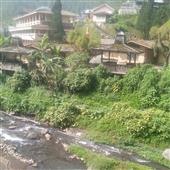 Cuố