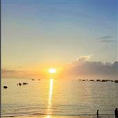Thể
