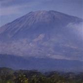 Rút