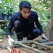 Cướ