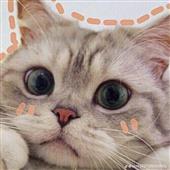 Thể