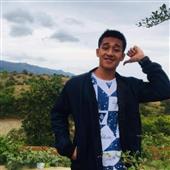 Gậy