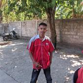 Yến