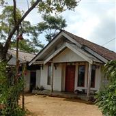 Vua
