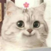 Tải