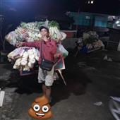 Máy