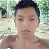 Bản