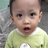 Săn