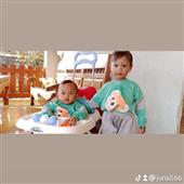 Cỗ 