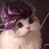 Bla