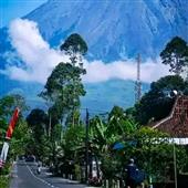 Hợp