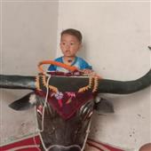 Số 
