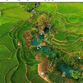 Kết