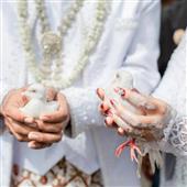Rồn