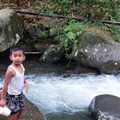 Ngọ
