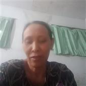 Gấu