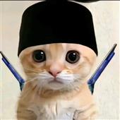 Ngô