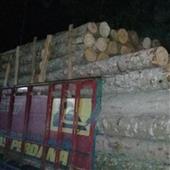 Kho