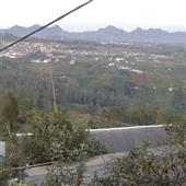 Sự 