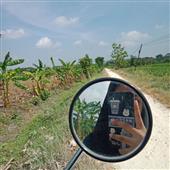 Thế