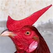 Thu