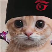 Soi
