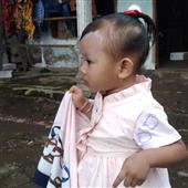 Biể