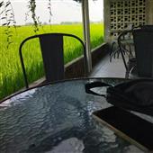 Mật