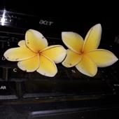 Tỷ 