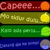 ủng