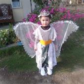 Đảo