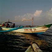 Tài