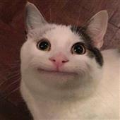Đoá