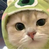 Cas
