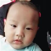 Khỉ