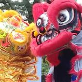 Bàn