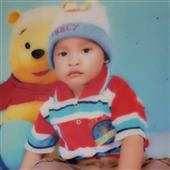 Bản
