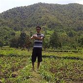 Mẹo