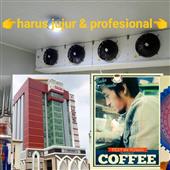 Mẹo