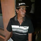 Máy