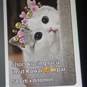 Cuố