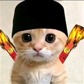 Nhà