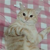 Oly